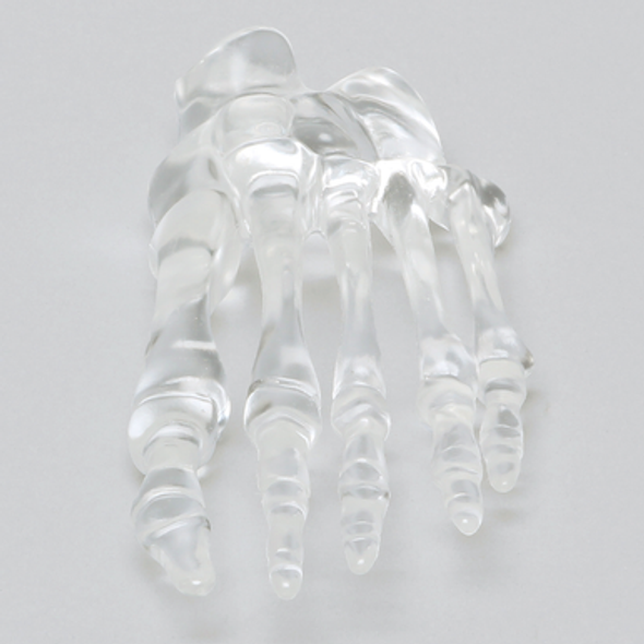 Forefoot, Solid Clear Plastic