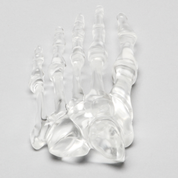 Forefoot, Solid Clear Plastic