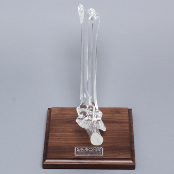 Elbow with Stand, Solid Clear Plastic