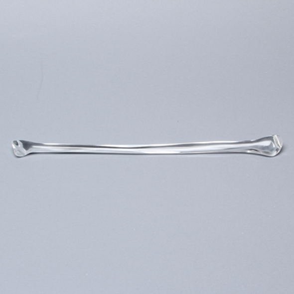 Fibula, Solid Clear Plastic