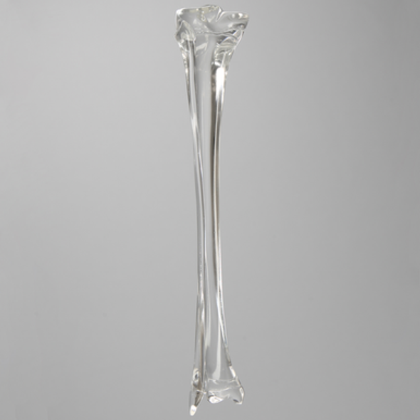 Tibia and Fibula without Canal, Solid Clear Plastic, Pediatric
