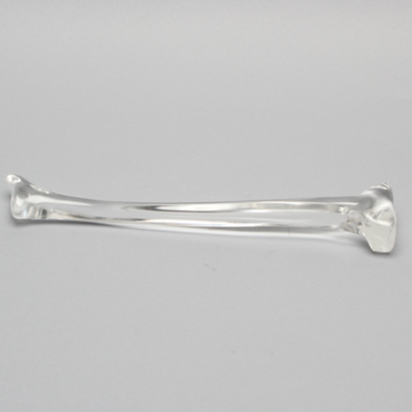 Tibia without Canal, Solid Clear Plastic, Medium