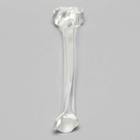 Tibia without Canal, Solid Clear Plastic, Medium