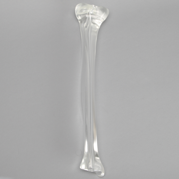 Tibia with 8.8 mm Canal, Solid Clear Plastic