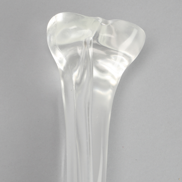 Tibia with 8.8 mm Canal, Solid Clear Plastic