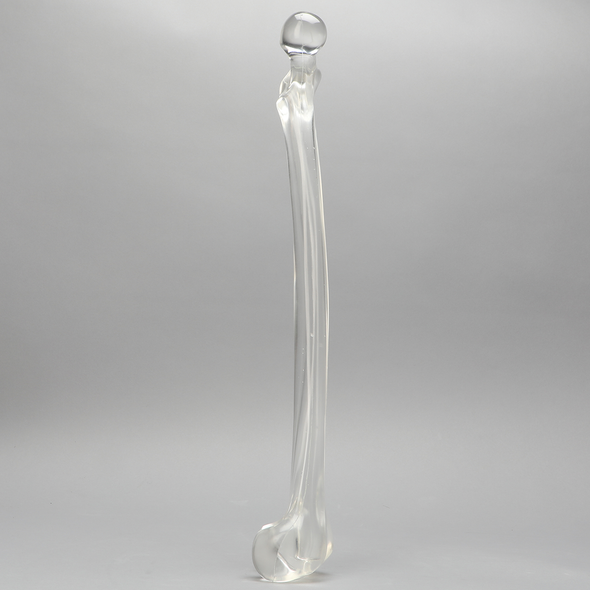 Femur with 15.6 mm Canal, Solid Clear Plastic