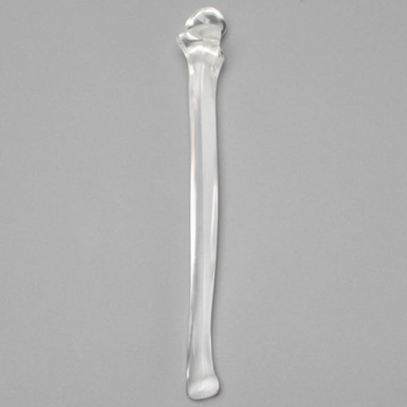Ulna without Canal, Solid Clear Plastic