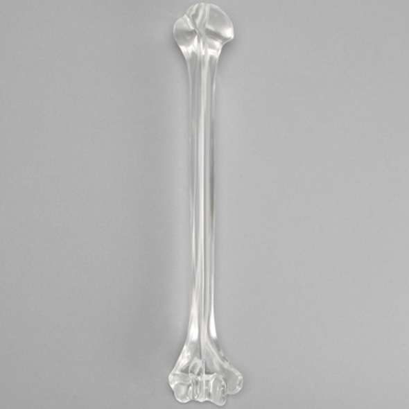 Humerus with 9.5 mm Canal, Solid Clear Plastic