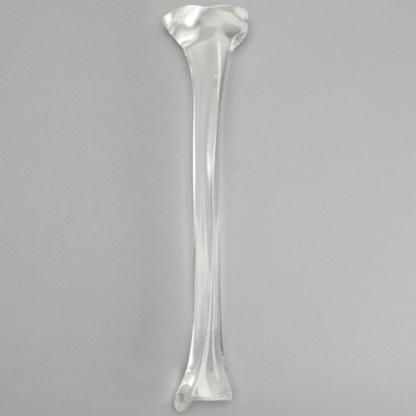 Tibia without Canal, Solid Clear Plastic, Large