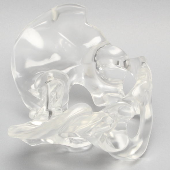 Pelvis, Full Male, Solid Clear Plastic