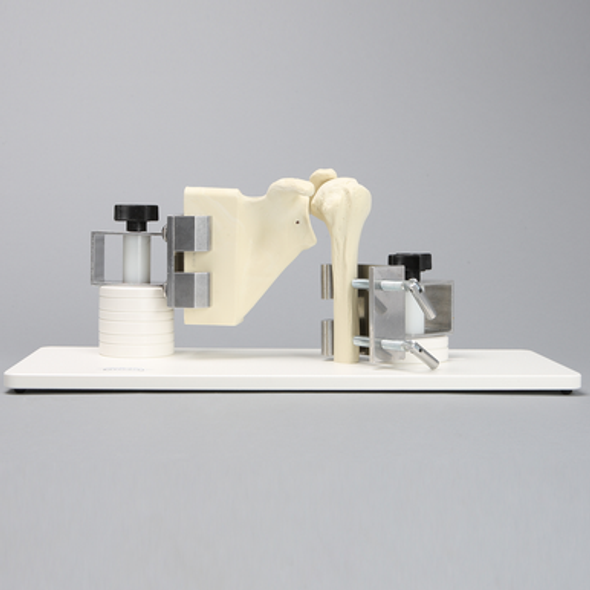 Shoulder Stand with Clamps