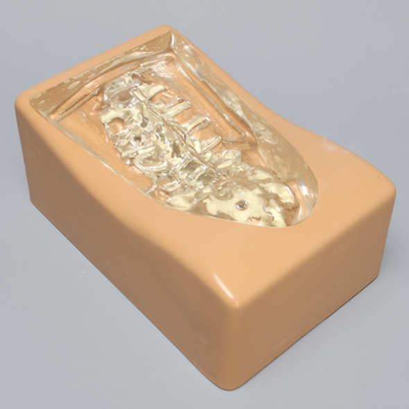 Spine Holder Set, L1-Sacrum