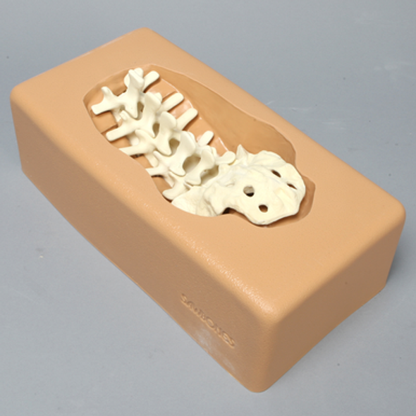 Spine Holder - L1 to Sacrum