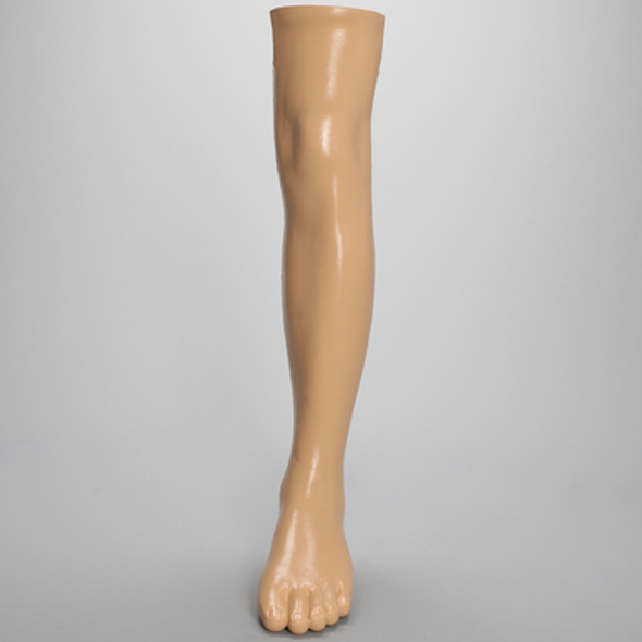 Partial Leg, with Foot and Ankle, Encased