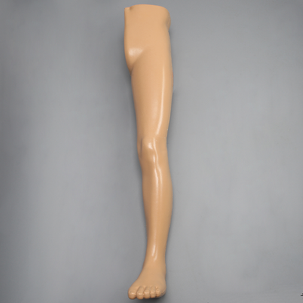 Leg, Soft Tissue, Fully Encased