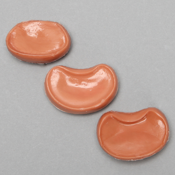 Vertebral Disc Set of L5 to L3 with Nucleus