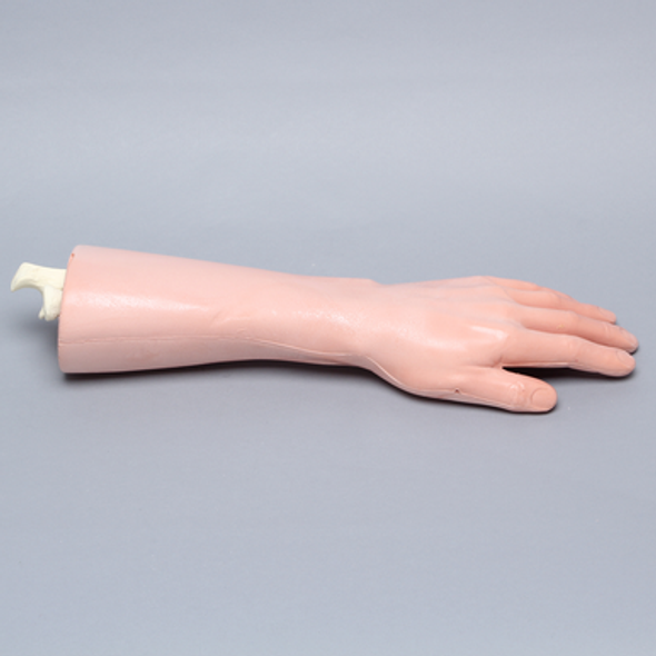 Wrist, Encased, with Transverse Fracture, Artery, Nerve, and Tendons