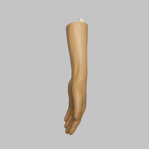 Wrist, Encased