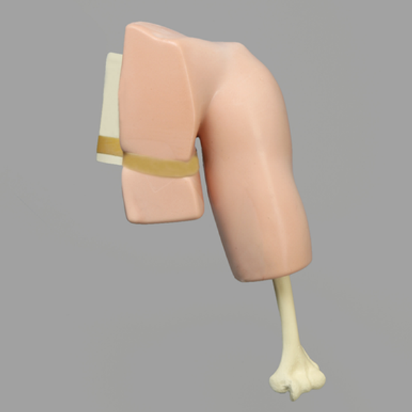 Arthroscopy Shoulder Simulator