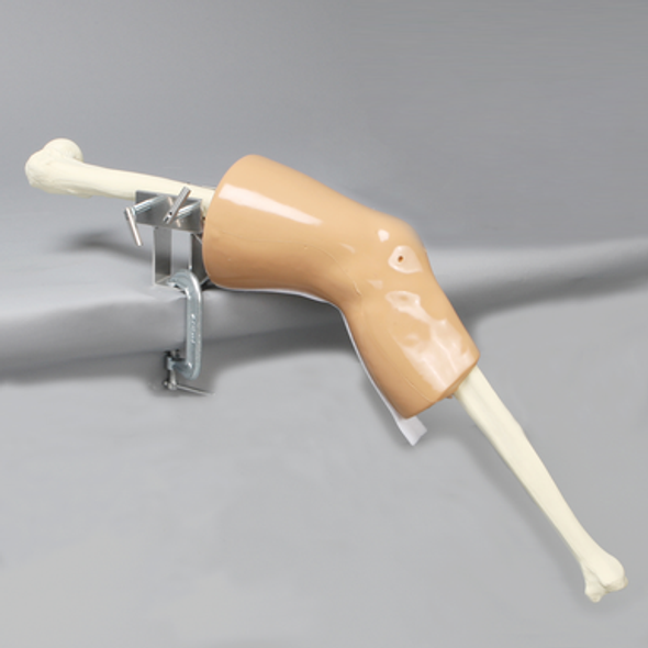 Knee, ACL Trainer