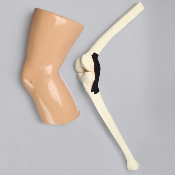 ACL Knee Trainer, Medium, Without Clamps