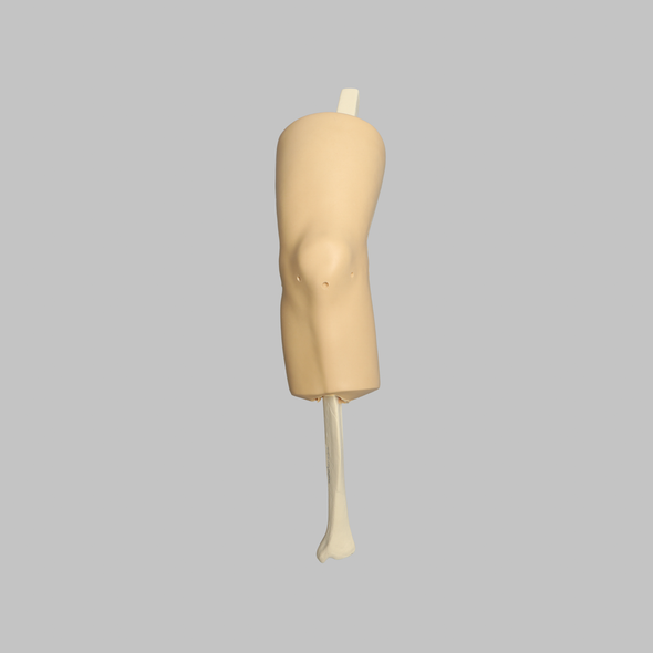 ACL Knee Trainer, Medium, Without Clamps