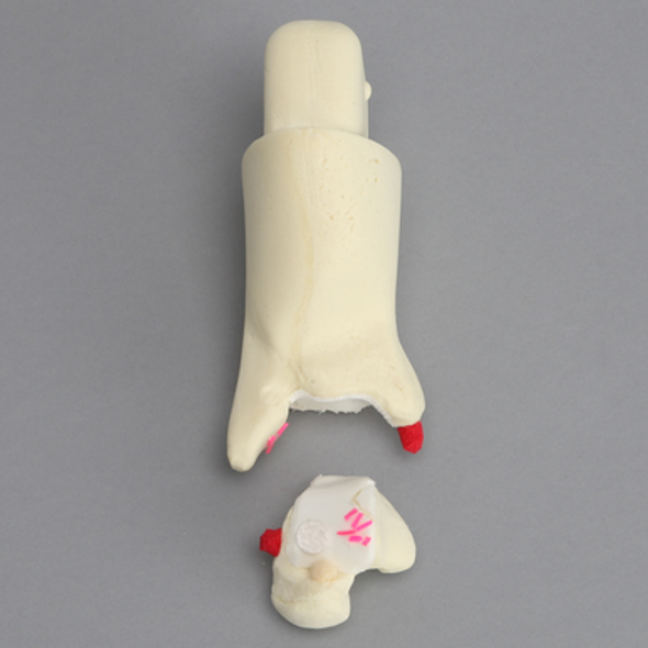 Arthroscopy Foot and Ankle Trainer Insert, Advanced Version 2