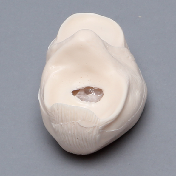 Meniscal Insert, Off White