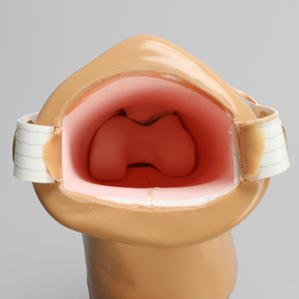 Knee, Soft Tissue Replacement