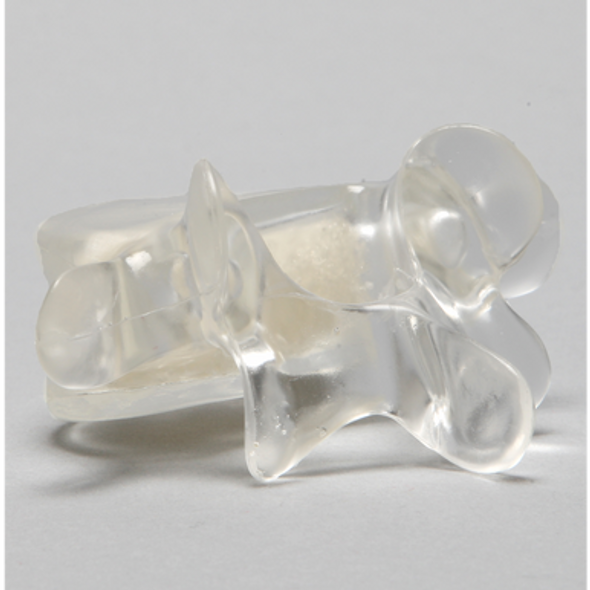 Vertebra L5 with Open Cell Cancellous, Solid Clear Plastic
