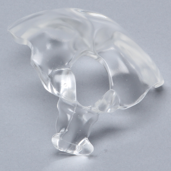 Occipital