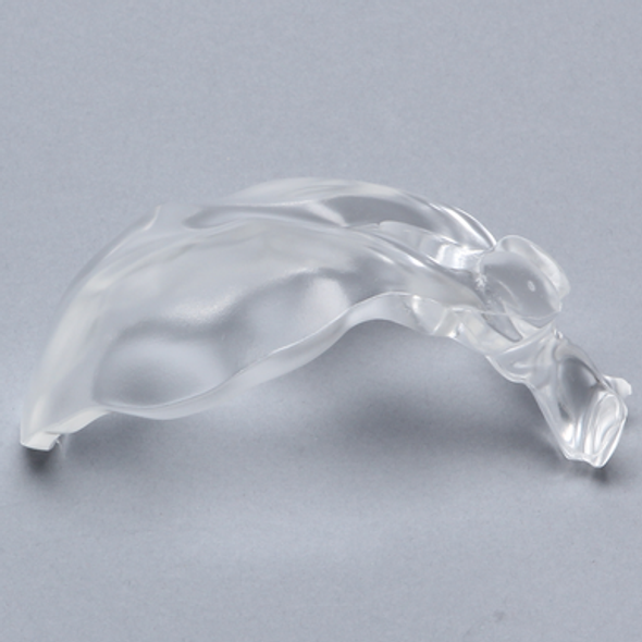 Occipital