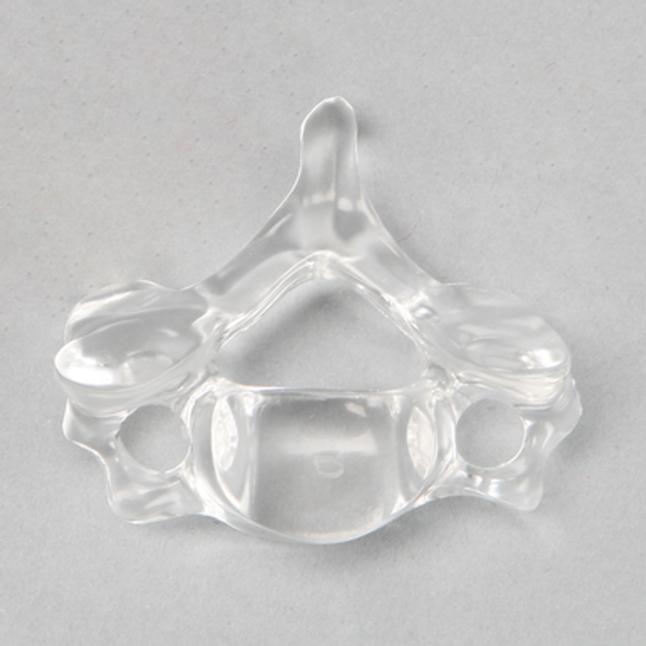 Vertebra C6, Solid Clear Plastic
