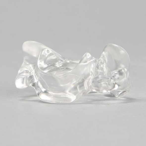 Vertebra C6, Solid Clear Plastic