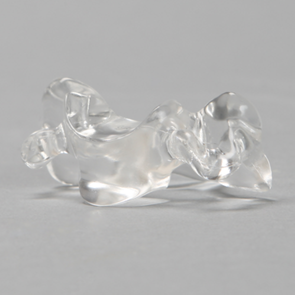 Vertebra C5, Solid Clear Plastic