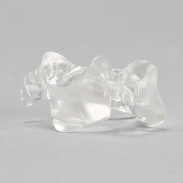 Vertebra C3, Solid Clear Plastic