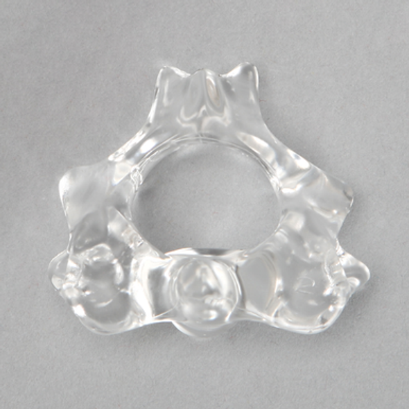 Vertebra C2, Solid Clear Plastic