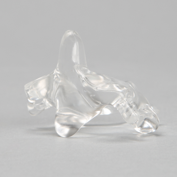 Vertebra C2, Solid Clear Plastic