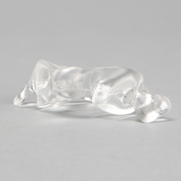 Vertebra C1, Solid Clear Plastic