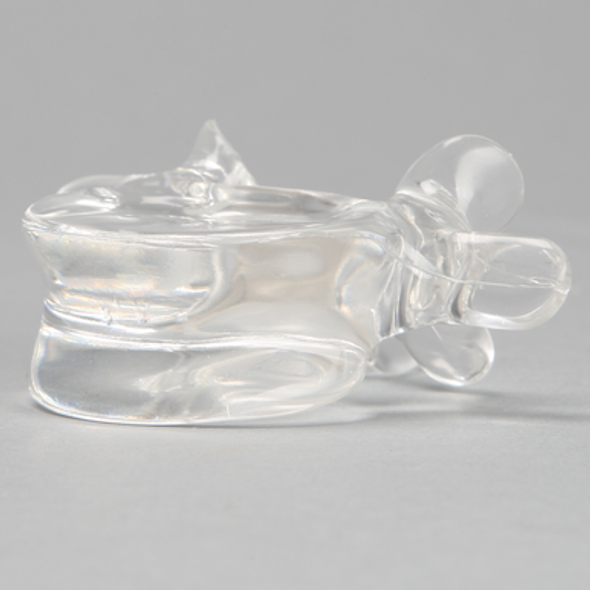 Vertebra L5, Solid Clear Plastic