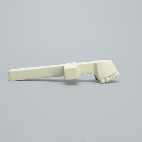Maxilla with Drill Holes