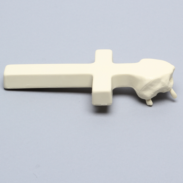 Maxilla, Partially Edentulous, With Vise Attachment