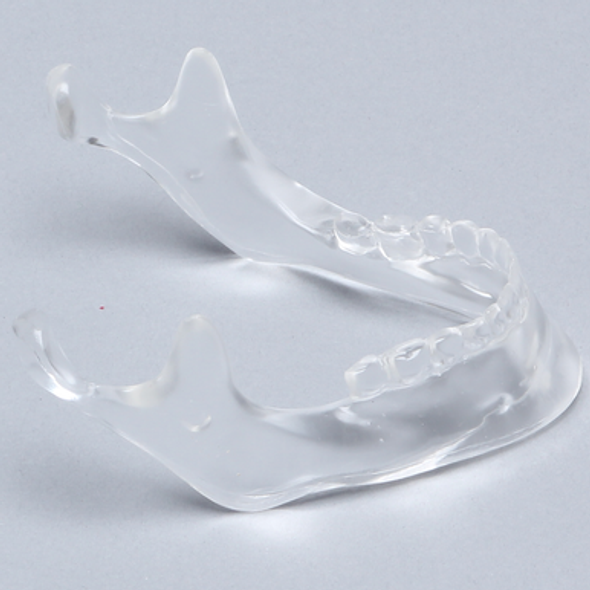 Mandible with Teeth, Solid Clear Plastic