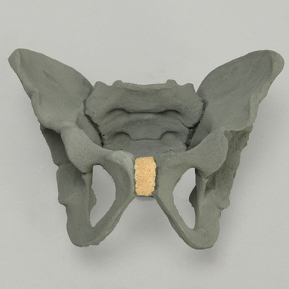Pelvis with Radiopaque Properties, Pediatric Full