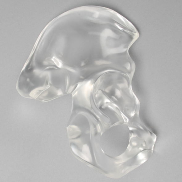 Hemi Pelvis, Male, Solid Clear Plastic, Right