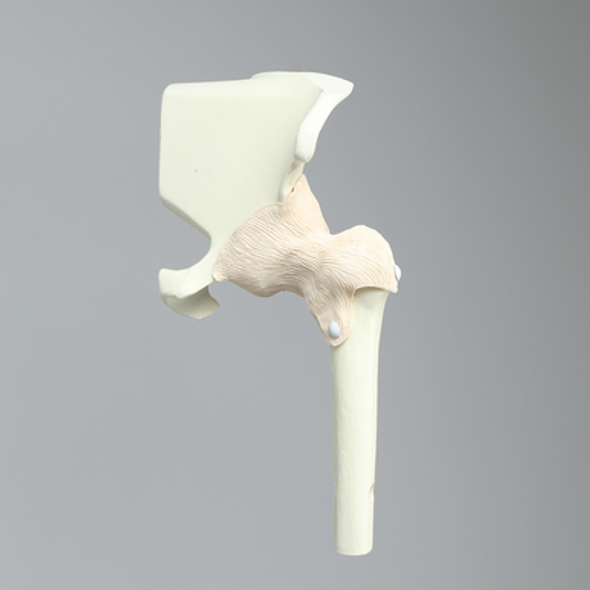 Hip Insert for Express Arthroscopy Hip