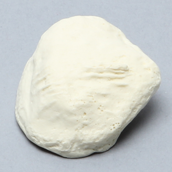 Patella, Solid Foam, Right