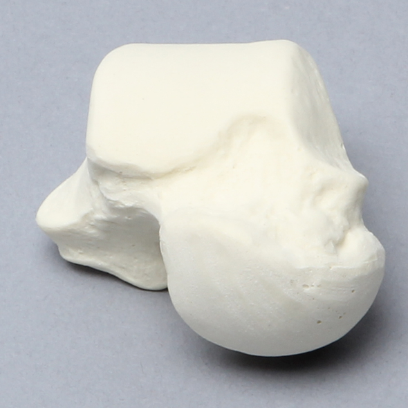 Talus, Solid Foam, Right