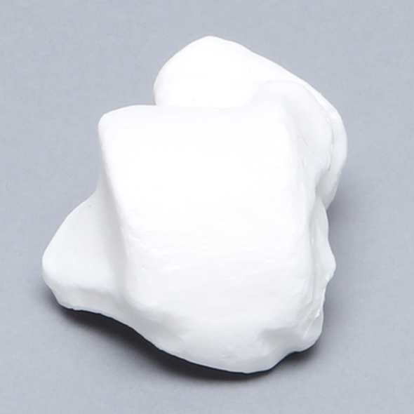 Talus, Solid White Plastic, Left