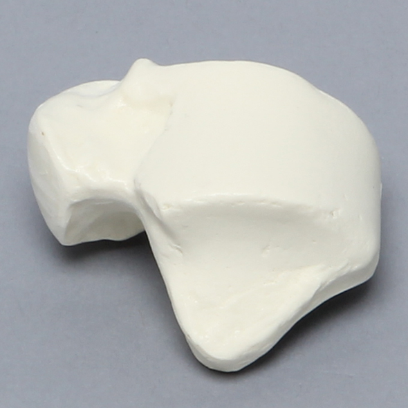 Talus, Solid Foam, Left
